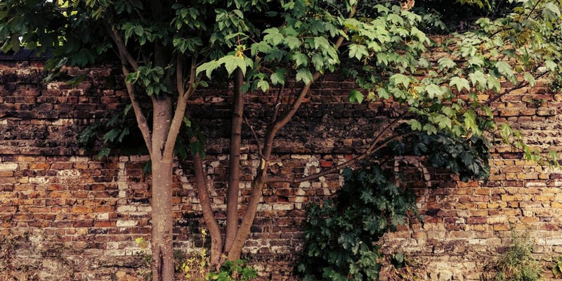 Landscape Citizenship Symposium, Friday 16th of November, 09:00 – 17:00, Conway Hall, WC1R 4RL