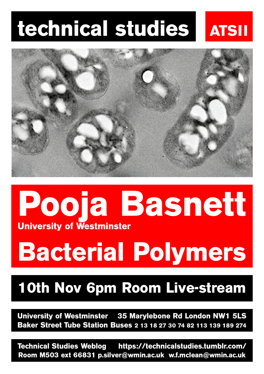 Technical Studies Lecture Series: Dr Pooja Basnett, University of Westminster “Bacterial Polymers” | Thursday, November 10 at 18:00 (GMT), Online