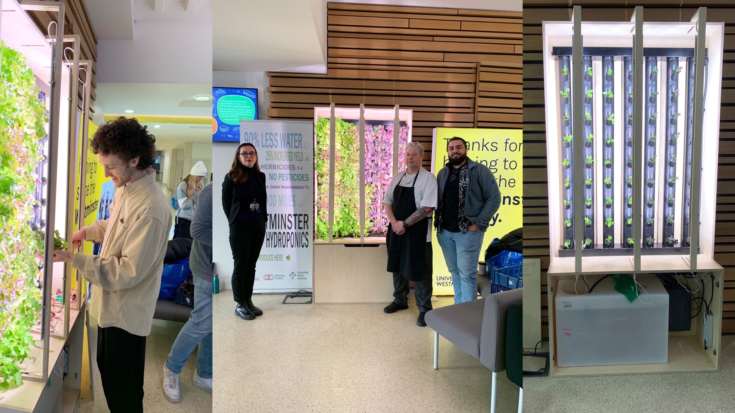 ArCCAT Student Representatives + Square Mile Farms: How to farm vegetables from hydroponic wall installed at Marylebone Campus